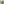         Auspacken und entfalten lassen (Bunt)
